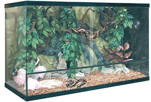 ICA trs180 Terrarium repti-Selva Glas