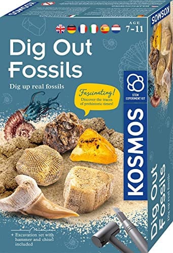 KOSMOS 616922 Fossilien Ausgrabungs-Set, Grabe echte Versteinerungen und Bernstein selbst aus, mit Hammer und Meißel, Experimentierset für Kinder ab 7 Jahre, mehrsprachige Anleitung