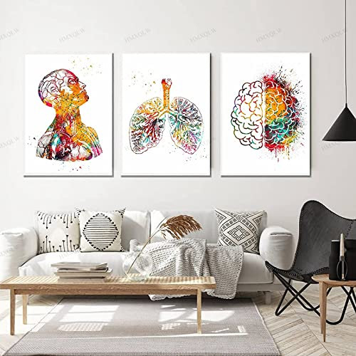 HMXQLW Abstrakt Medizin Anatomie Wandbilder Mensch Organe Herz Gehirn Aquarell Bilder kunstdrucke Klinik Deko,Leinwandbilder Poster und Drucke Wandkunst Rahmenlos (3X60x90cm,2)