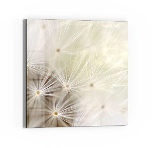 DEQORI Glasbild Echtglas | Motiv Pusteblume ganz nah | quadratisch einteilig 50x50 cm | schöne Dekoration | Wandbild für Wohnzimmer, Schlafzimmer, Flur & Küche | moderne Wanddeko
