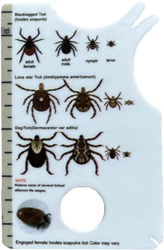 Jowxsx Zeckenkarte Mensch, Zeckenkarte Für Menschen, Ermöglicht Einfaches Entfernen Von Zecken, Zeckenentferner Für Hunde Und Katzen Im Handlichen Taschenformat, 8,5 X 5,4 X 0,1 cm Ungezieferschutz