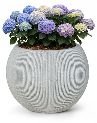 Mazovia In-& Outdoor Pflanztopf Terrasse Ø37cm Rund Grau Einfarbig Recycelt