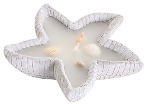 levandeo Kerze Seestern Beton 16x4cm Maritim Beach Muschel Kerze Strand Deko Tischdeko
