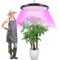 300W Lamparas de cultivo LED lámpara de planta de espectro completo, función de conexión en cadena luz LED colgante para cultivo de plantas hidropónicas de interior, invernadero, verduras, flores