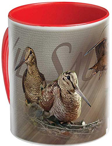 Photo de becasse sur mug