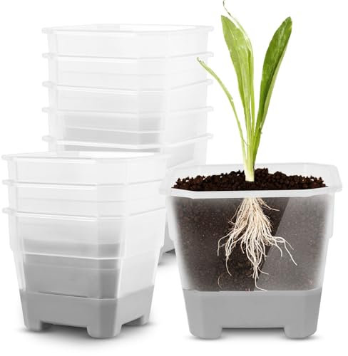 Pflanzentöpfe Für Baumschulen, Blumentopf Klein Orchideentopf Transparent Plastik Vierkanttöpfe Pflanztopf Blumentöpfe Baumschule Töpfe Wiederverwendbar Quadratische Pflanzentöpfe Für Blumen (Grau)