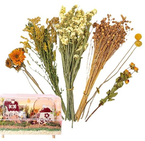 Derwrtup Hamster Heublumen Einstreu - Trockenblumen Für Hamster - Hamster Einstreu Blumen - Hamsterzubehör - Natürliche Trockenblumen | Für Hamster, Rennmäuse, Degus Oder Kleintiere