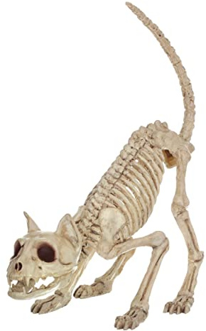 Crazy Bonez Skeleton Cat - Lil' Kitty Bonez