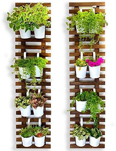 ShopLaLa Soporte de Pared para Plantas - Macetas Colgantes para Interiores y Exteriores
