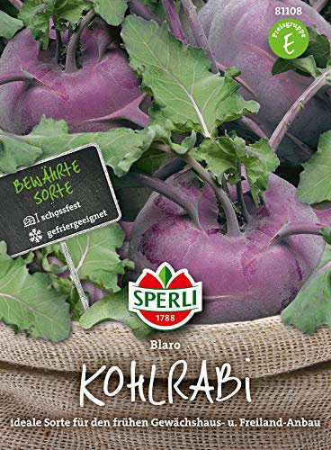 81108 Sperli Premium Kohlrabi Samen Blaro | Schossfest | Große Knollen | Nicht Holzig | Blauer Kohlrabi Saatgut