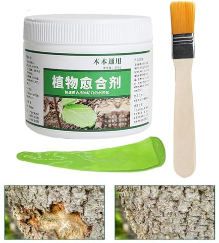 Mastic Cicatrisant Arbres Après Coupe et Taille Peinture de Greffage