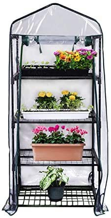 Abaseen 4 Tier Mini Greenhouse with Frame and Cover 160x69x49cm (HxWxD) Bigger than Small Greenhouse for the Garden, Roll Up Zip Panel Door for Outdoors, Patio and Backyard