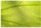 Baum Blatt Textur Venen Druck Jigsaw Puzzle 1000 Teile Holzpuzzle Geschenke Für Erwachsene Familie Hochzeit Abschluss Geschenk Vertikale Version
