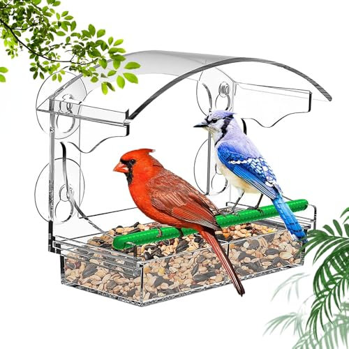 Casenly Mangeoire à Oiseaux pour Fenêtres, Grande Window Bird Feeder 25x18x9.5 cm, Mangeoires à Fenêtre Acrylique Transparent Mangeoire Oiseaux Exterieur Fenetre avec 4 Ventouses pour Oiseaux Sauvages