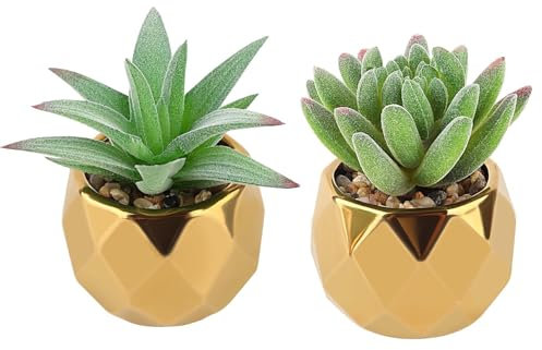 MOKIDO Lot de 2 plantes succulentes artificielles - Plantes décoratives - Petites plantes artificielles en pot en céramique - Pour chambre à coucher, salon, salle de bain et bureau (vert)