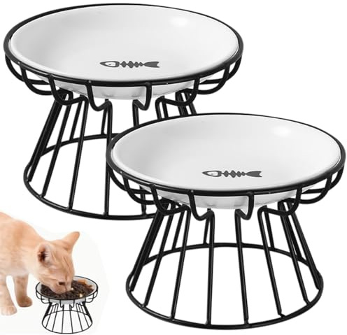 2PCS Ceramic Cat Bowls with Stand, Elevated Cat Food Bowl, Shallow Plate Whisker Fatigue Cats Dishes for Pets, Cats and Puppies Wet Dry Food and Water