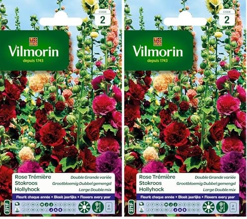 Vilmorin 5751742 Pack de Graines Rose Trémière Double Grande Variée (Lot de 2)