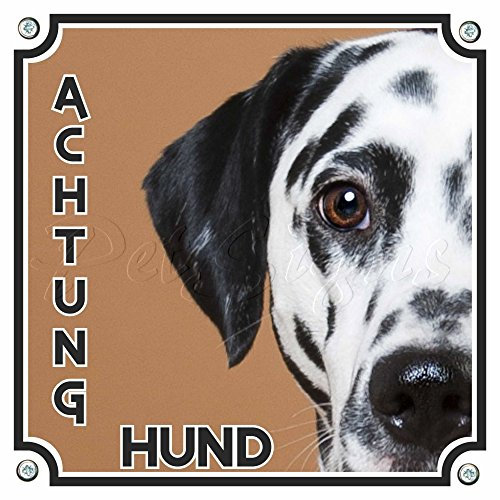 Petsigns Quadratisches Hundeschild - Dalmatiner - Exklusives Metallschild - 1A Qualität, 20 x 20 cm