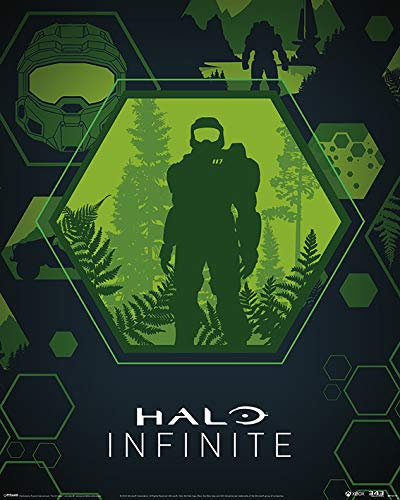 Poster / Halo Infinite – Master Chief Hex – 40 x 50 cm