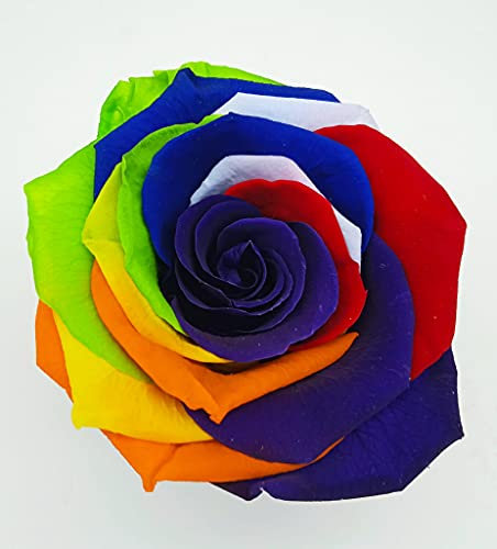 ROSA ARCOBALENO. Rosa artificiale multicolore. Fiore arcobaleno multicolore. Rosa multicolore. Regalo originale.