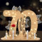 70 Geburtstag Mann und Frau,Geldgeschenke Geburtstag 70 Alles Gute mit LED Lichterkette,Holz Geburtstags-Gästebuch 70.Geburtstag Deko,Coole Geschenkideen zum 70. Geburtstag für männer Tischdeko.