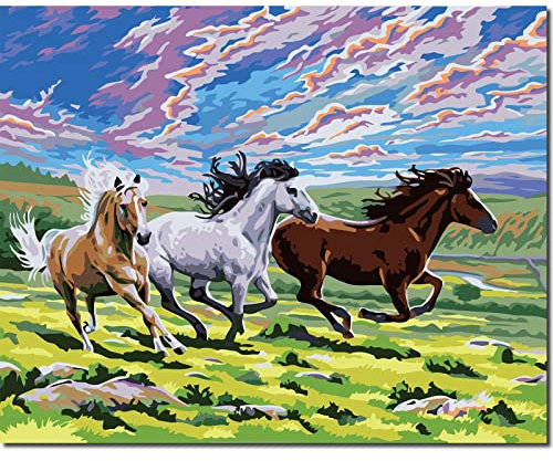 Fuumuui Peinture par Numéros Adultes et Enfants Débutants Comprend Pinceaux et Peintures Acryliques 40 x 50 cm - Animaux, Cheval dans la Prairie