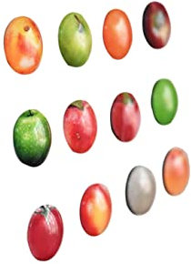 ABOOFAN 12stücke Obstmagnete Für Kühlschrank Runde Glas-Magnete Whiteboard-Magnete Kühlschrankaufkleber-dekor Magnet-Klebeband Für Küche Büro Schule Und Festivals