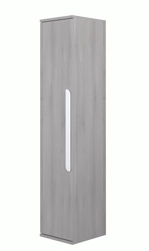 Mobelcenter, Columna 1 Puerta, Armario con 2 Estantes y Barra de Colgar, Acabado Color Tundra Gris, Medidas: Ancho: 45,2 cm x Fondo: 52,2 cm x Alto: 222,6 cm (1636)