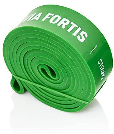 VIA FORTIS Premium Resistance Bands + Übungsanleitung und Tasche - Widerstandsbänder/Klimmzugband und Klimmzughilfe/Fitnessband/Trainings-Bänder für Fitness & Krafttraining