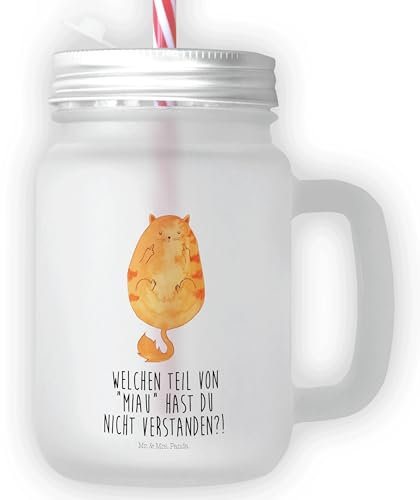 Mr. & Mrs. Panda Trinkglas Mason Jar Katze Mittelfinger - Geschenk, Cat, Sommerglas, Katzenartikel, Tiger, Katzendeko, Mietze, Retro-Glas, Mieze,