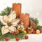 Auswahl Motiv - 20 Servietten/Napkins - ca. 33 x 33 cm 3-lagig - goldener Weihnachtsstern Poinsettia mit zwei Kerzen Kugeln Zweige - Tisch-Deko Basteln Serviettentechnik