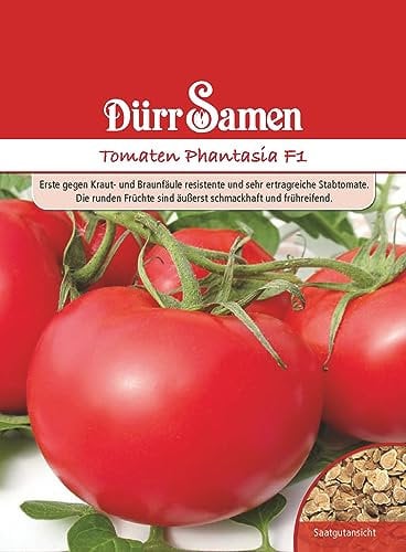 Stabtomate Samen Tomaten Phantasia F1 Tomatensamen Früreifend ca 8 Korn Ertragreich Saatgut Garten Hochbeet Kübel Dürr Samen