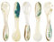 Cuchara de Concha, Set de 5 Cucharas Hechas a Mano para Servir Postre, Cafe, Helado, Huevo, Caviar (Blanco, 10,3cm x 2,4cm)