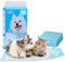 Nobleza - 100 x Empapadores Perros Alfombrilla Higiénica de Entrenamiento para Perros con Pegatinas de Cinta Adhesiva. Ultraabsorbente 60cm*60cm.