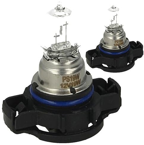 CARALL 2 Stück Halogenlampen 12V für Autos (PS19W 12V 19W PG20-1)