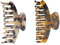 Lot de 2 pinces à cheveux léopard, grande écaille de tortue en cellulose, barrettes bananes pour le bain pour femme