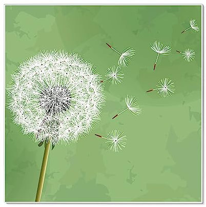 banjado® Magnettafel 50 x 50cm / Magnetwand aus Metall/Magnetpinnwand als Memoboard/Pinnwand Magnettafel Küche, Büro, Kinderzimmer inkl. 4 Magnete & Montageset - Pusteblume 3