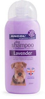 Hundeshampoo beruhigender Lavendel, 200 ml, 6 Stück