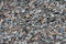 LanDixx Muschelkalk 5 kg für Hühner Muschelschrot Muschelgrit Geflügelgrit Kalk Ostrea Legehenne