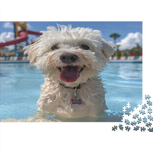 Maltese Dog Jigsaw Puzzles for Adults 1000 Piece Jigsaw Puzzles for Adults Home Puzzles for Adults Kids Educational Games Home Jigsaw Puzzle 1000pcs (75x50cm)