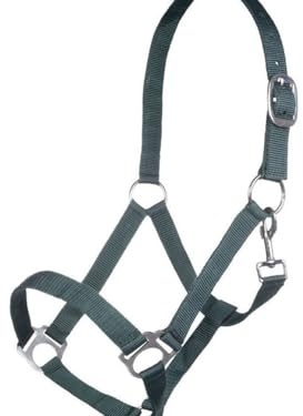 HKM Stars Economy Head collar Beige Extra Full