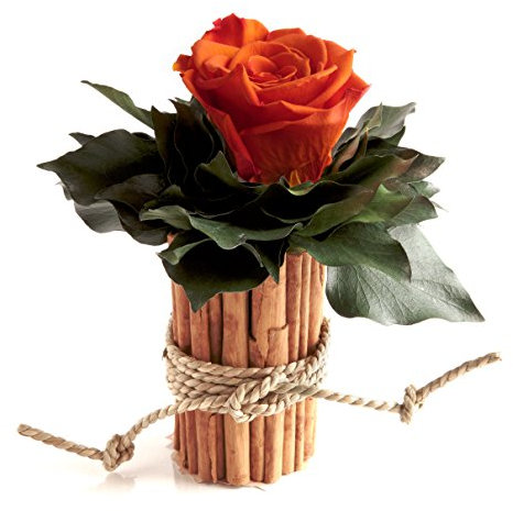 Rose Marie Schulz Heidelberg Flores con Canela Taza y 1 Rose Conserva haltbar 3 años Rose gesteck/Flores/rústico/Flores Decoración