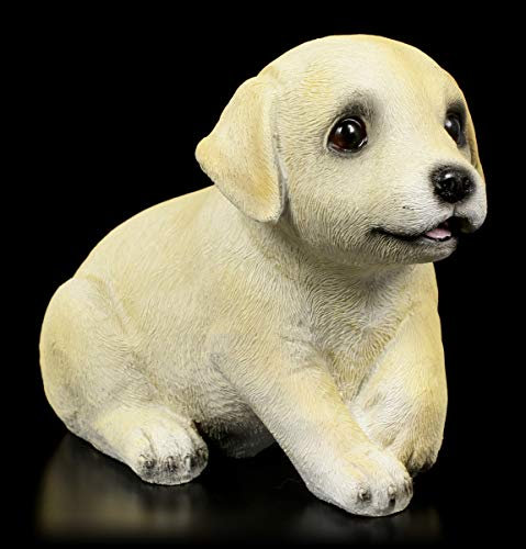 Figuren Shop GmbH Gartenfigur - Labrador Welpe sitzend | Dekofigur, Casa Collection, handbemalt