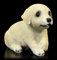 Figuren Shop GmbH Gartenfigur - Labrador Welpe sitzend | Dekofigur, Casa Collection, handbemalt