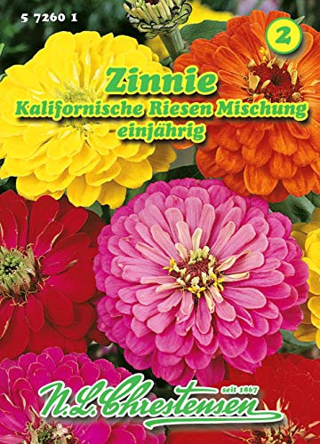 Zinnia elegans, Zinnie, Kalifornische Riesen, Mischung N.L.Chrestensen Samen