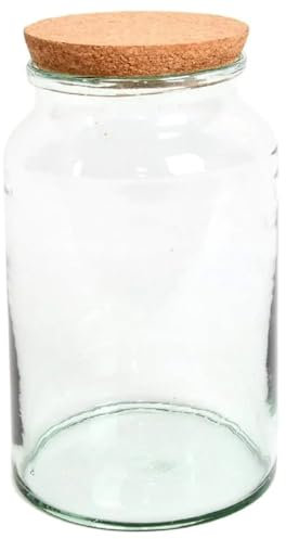 Esschert Design Bouteille de Terrarium Semi-Ouverte Moyenne, en Verre recyclé, liège