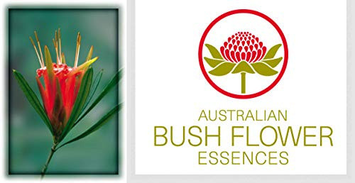 MOUNTAIN DEVIL Fiori Australiani Miscela Pronta All'Uso 30 Ml RANCORE GELOSIA RISENTIMENTO BUSH FLOWER