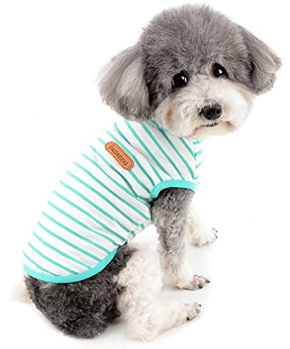 Zunea Sommer-Hunde-Shirts für Kleine Hunde Gestreifte Atmungsaktive Weste T-Shirts Weiche Baumwolle Welpen Kleidung Haustier Katzen Ärmelloses Tank Top Chihuahua Basic Tee Shirt Bekleidung Grün XS