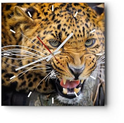 Modern Wanduhr Leopard Tier savanne Afrika 30x30cm Quadrat Klein Wand Uhr Glas Analog Zimmeruhren Küche Büro Wohnzimmer Glasuhr Wall Clock Dekoration Design Wanddekoration Küchenuhr C3AC30x30-2728