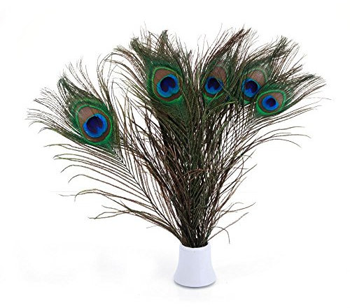 PACOLO Echte soziale Pfauenfedern, 25–30 cm, tolle Dekoration für Hochzeit, Weihnachten, Halloween, Haus (10 Stück natürlich)